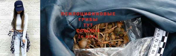 гидропоника Богородицк