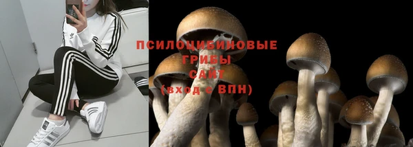 мяу мяу кристалл Нестеровская