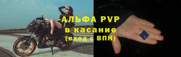 тгк Богданович