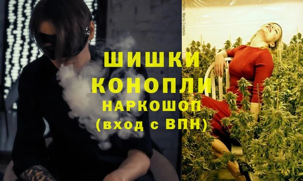 apvp Богородск