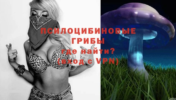 гидропоника Богородицк