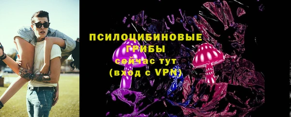 apvp Богородск